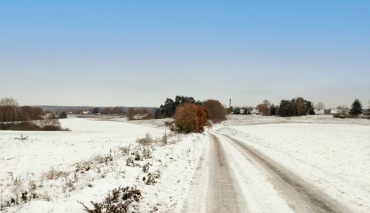 Feldweg in Pinnow