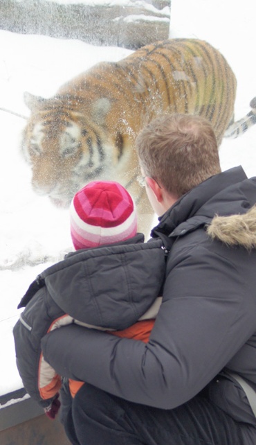 Vater und Kind beobachten interessiert den Tiger von Nahem